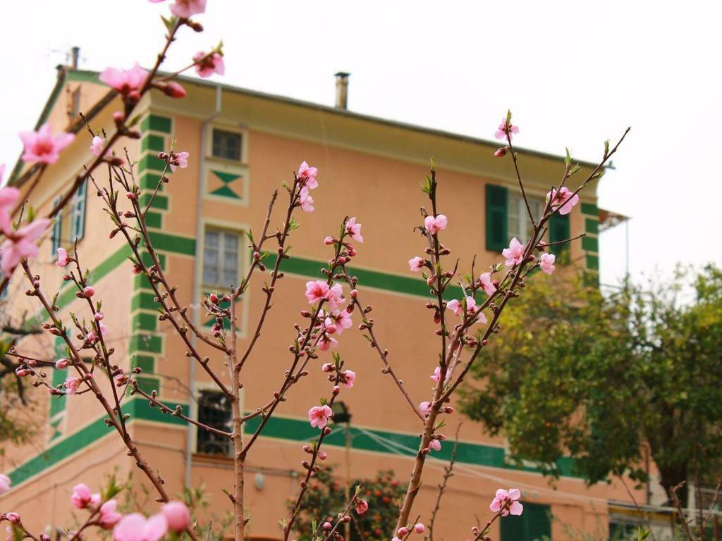 Appartamento di Prestigio- Cà da Lina - Deiva Marina Extérieur photo